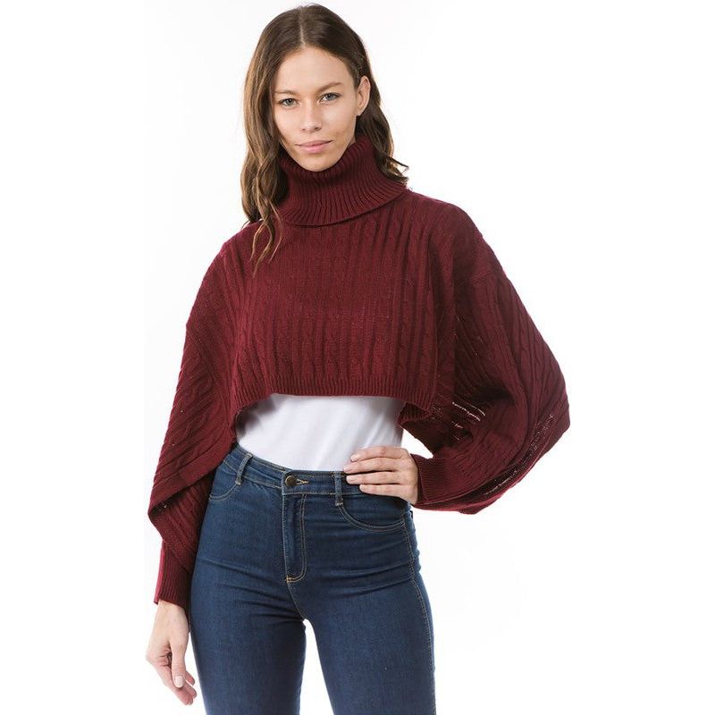 CLAUDE 2 Piece Knitted Dress and Sweater Set