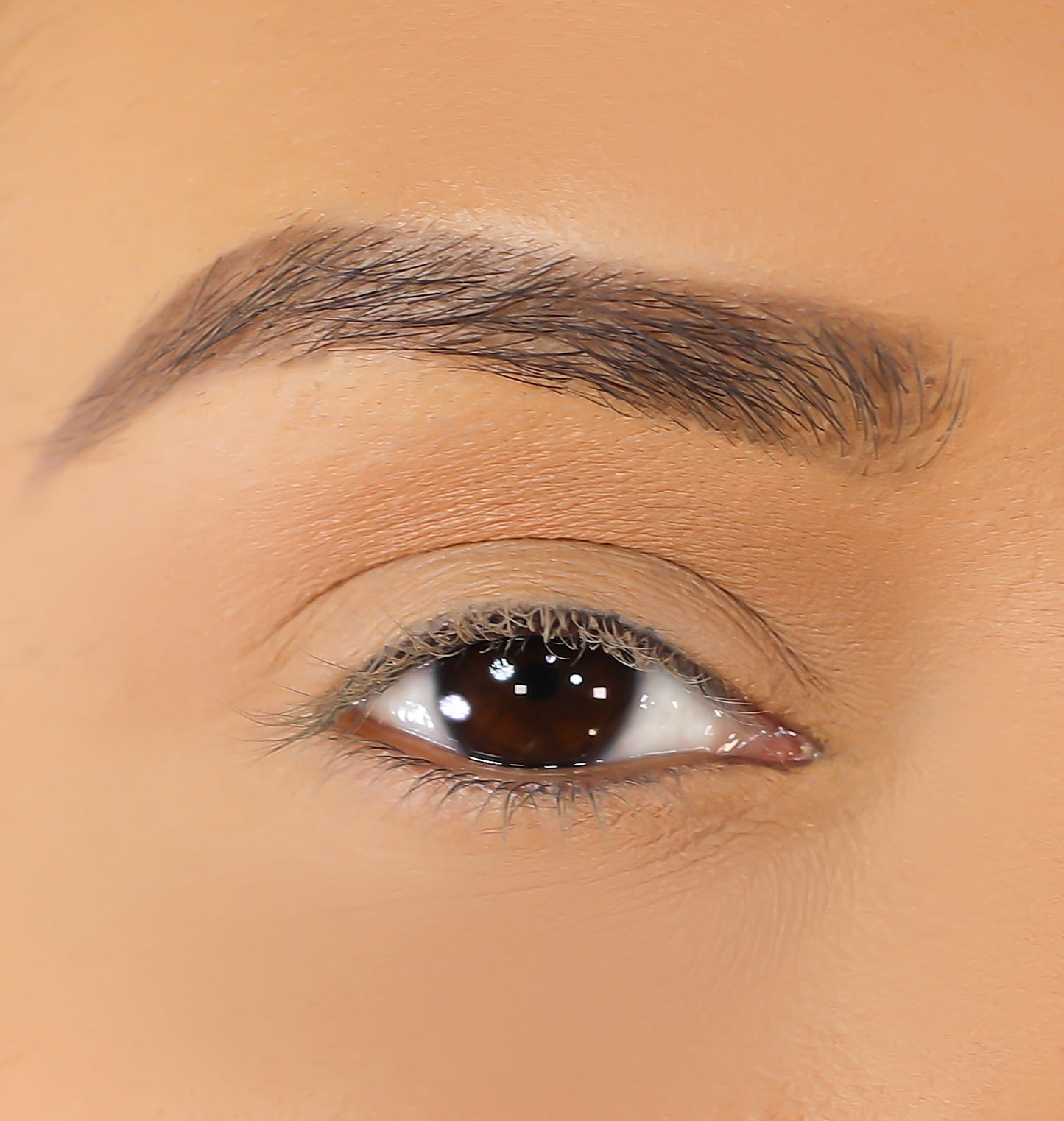 3D Mink Eyelashes - Emma