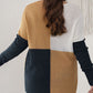 SYNZ Plus Size Color Block Round Neck Sweater