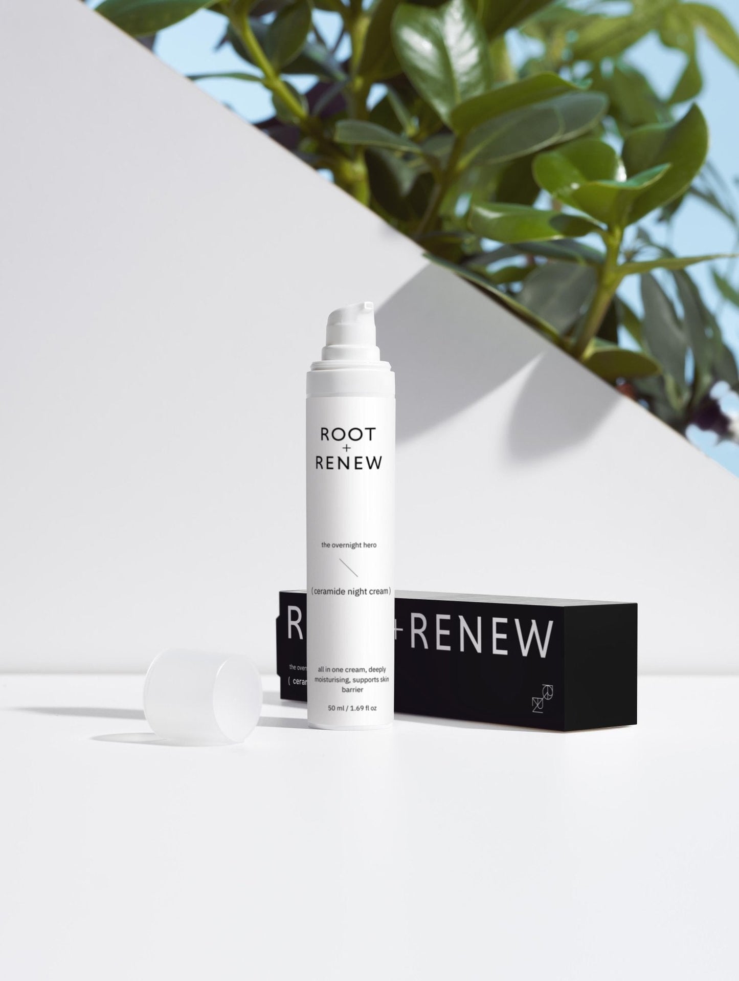 The Overnight Hero — Hydrating Night Cream